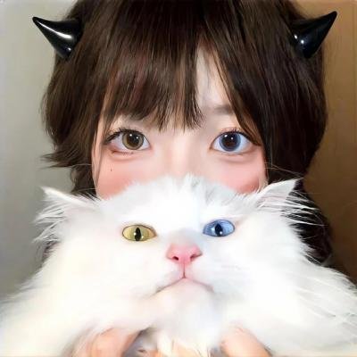 洪拳小子