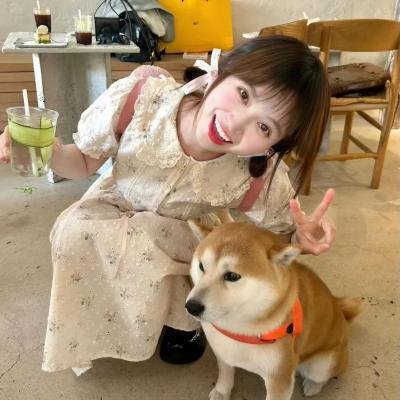 森林进化论